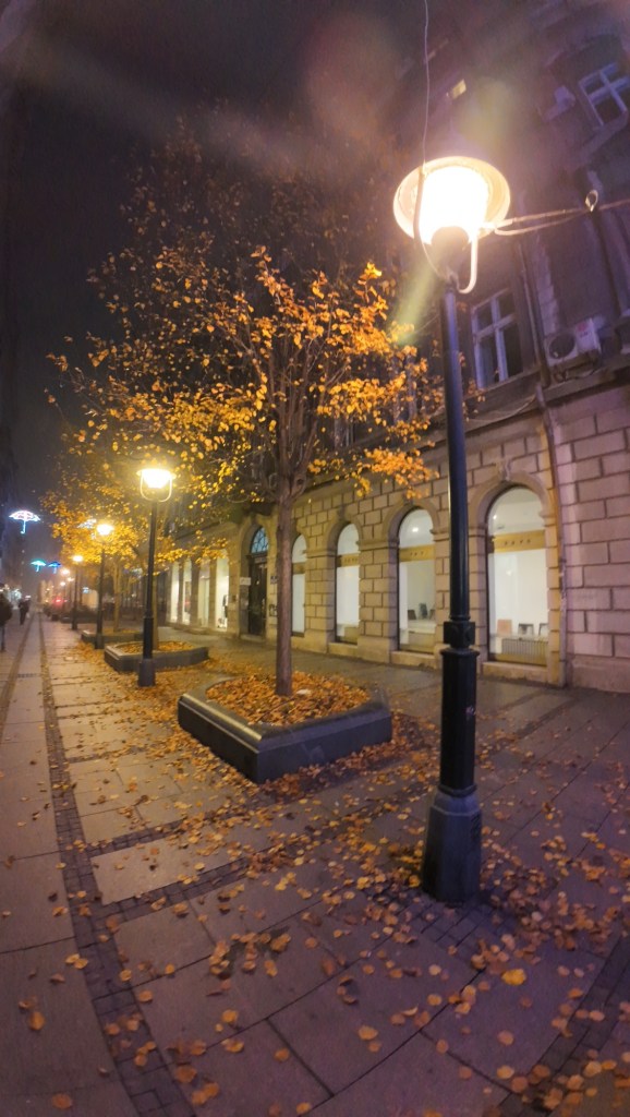 Efe ve Ebru’nun Noel tatilinde gittikleri Belgrad’dan gece çekilen sokak fotoğrafı