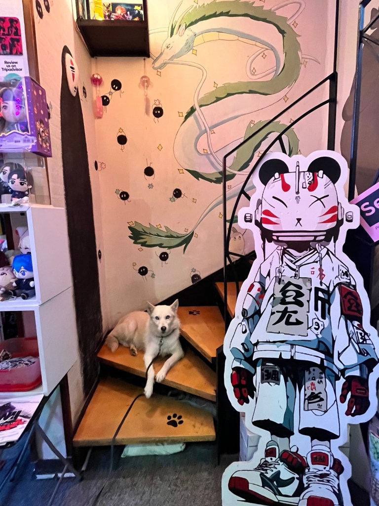 Efe ile Ebru’nun Belgrad gezisinde uğradık Panda kafe içinde çekilmiş fotoğraf