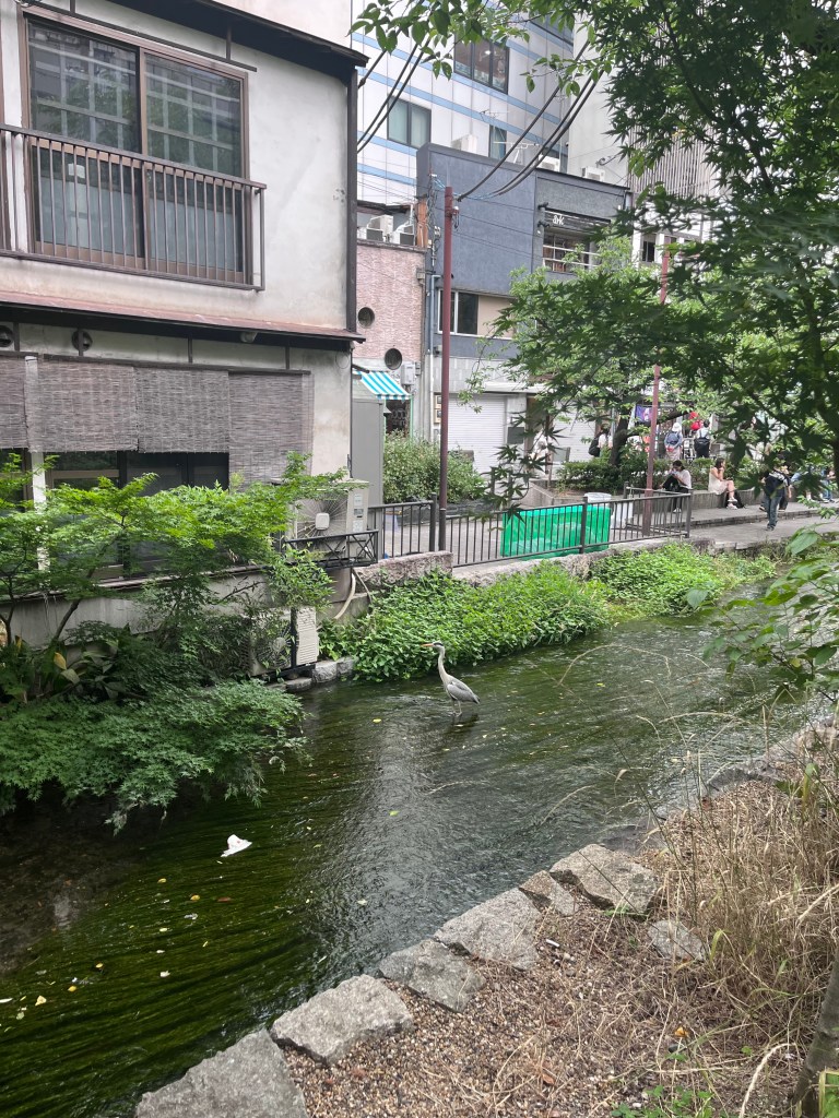 2026 Japonya yolculuğundan: Kyoto Gion kanal manzarası