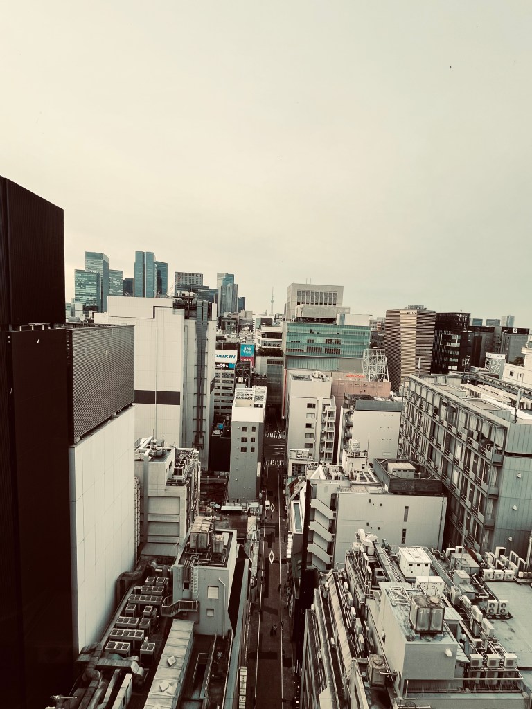 2026 Japonya yolculuğundan: Tokyo şehir manzarası yüksekten
