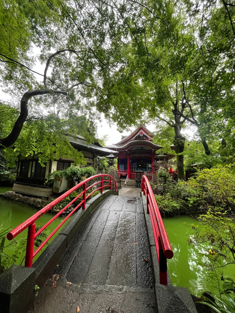 2026 Japonya yolculuğundan: Mitaka Kichijoji park kırmızı köprü